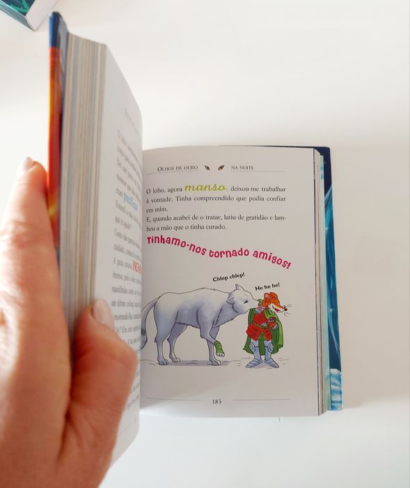 Livros do Geronimo Stilton