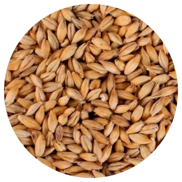 Продам Солод Базовый Подходит Как Пиво Так Под Дистилляцию Есть Помол!