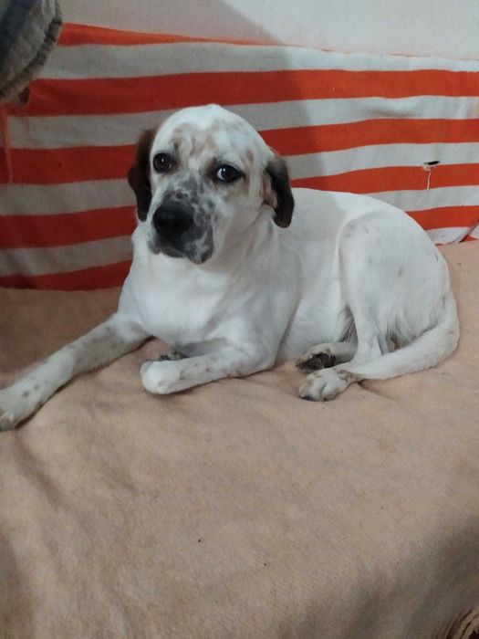 Mãe e filho porte médio