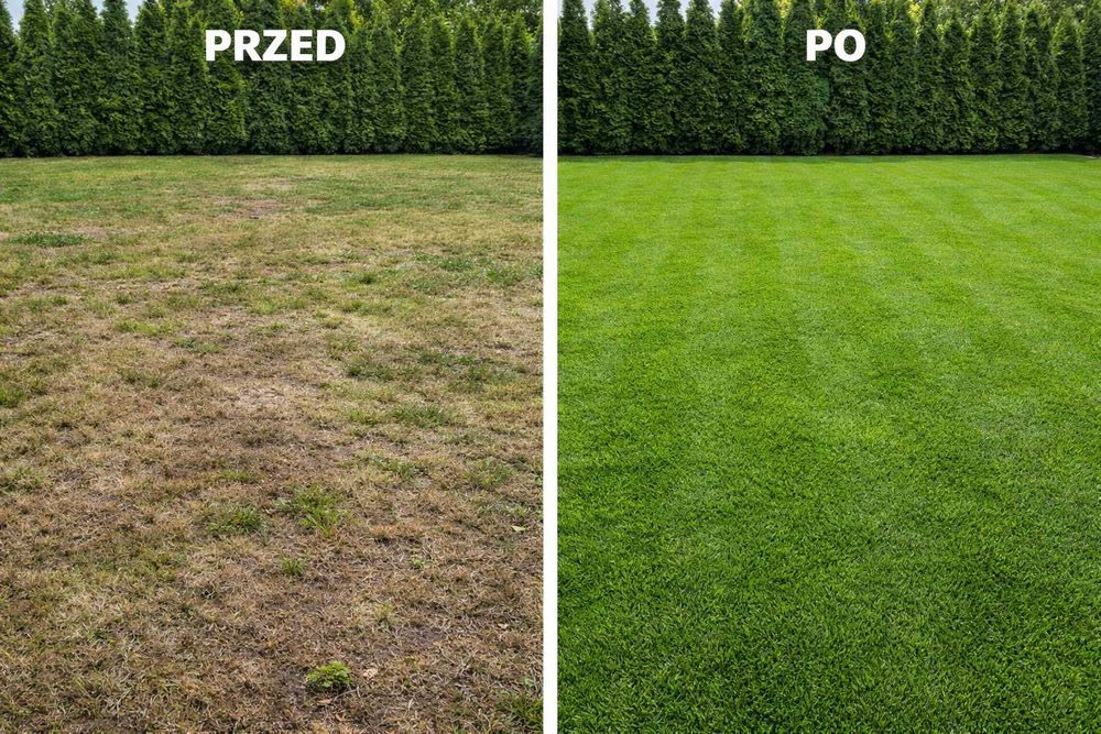 Ogrodnik Chorzów | Regeneracja trawnika, koszenie, pielęgnacja ogrodu