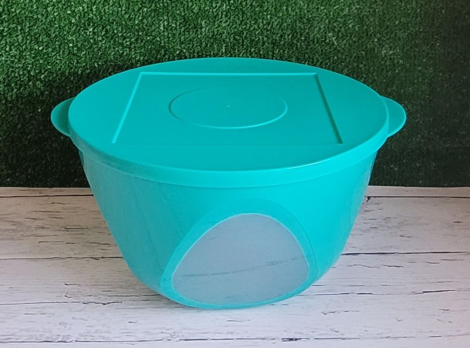 Saladeira ou caixa de transporte