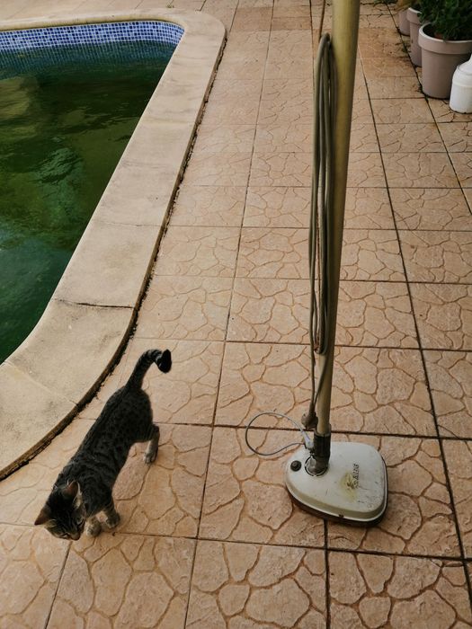 Enceradora marca AEG