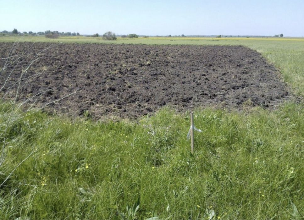 Земельна ділянка 0,1200га, с.Гоголів, Броварський р-н