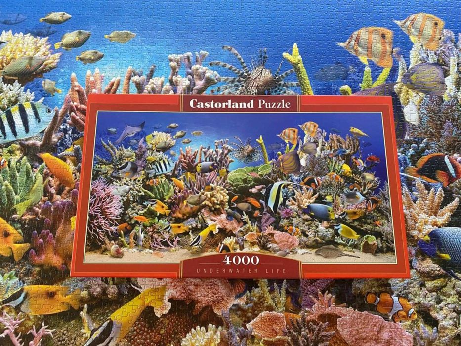 Puzzle marki Castorland "Underwater Life" 4000 elementów