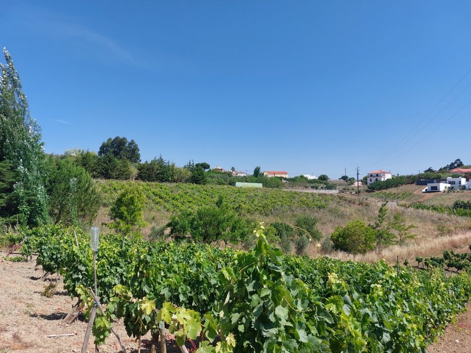 Terreno Rústico em Alenquer