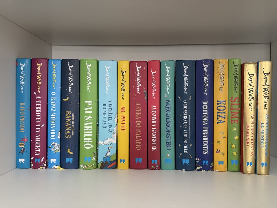 Livros David Walliams - em ótimo estado