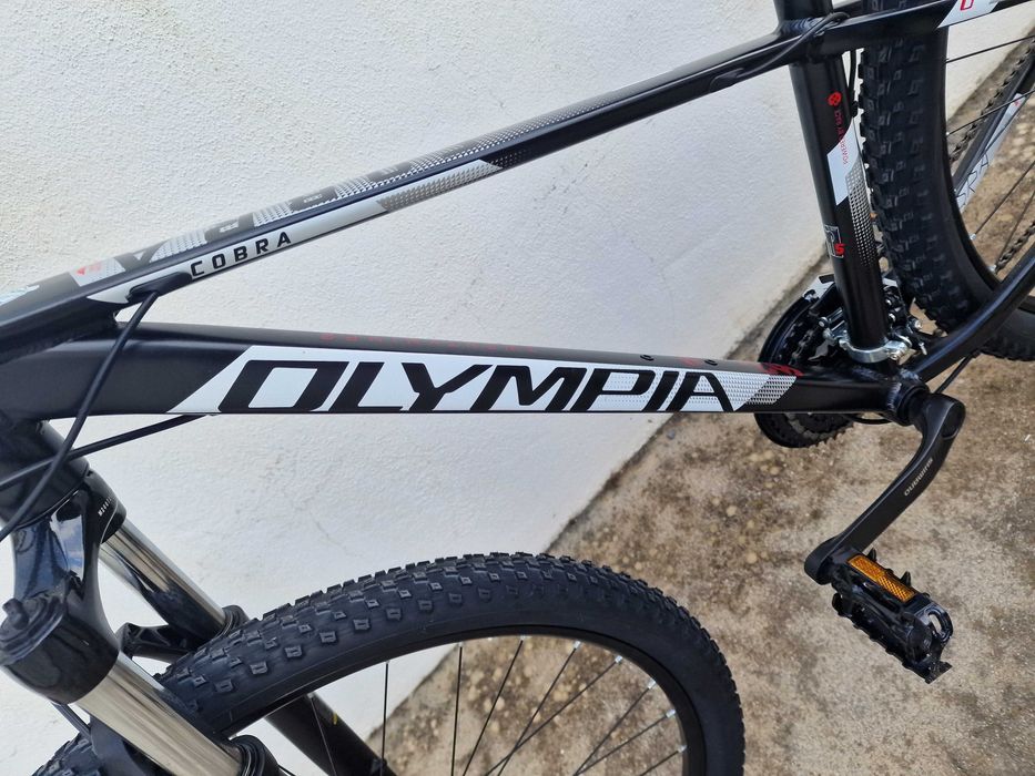 Bicicleta de Montanha (Mountain Bike)