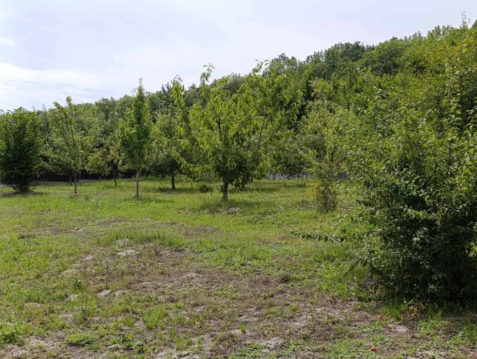 Дом по адресу ул. Первомайская (площадь 177 м²) - Atlanta.ua - фото 6