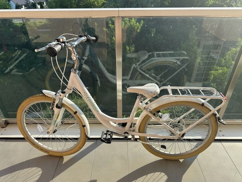 Rower 24 cale unibike