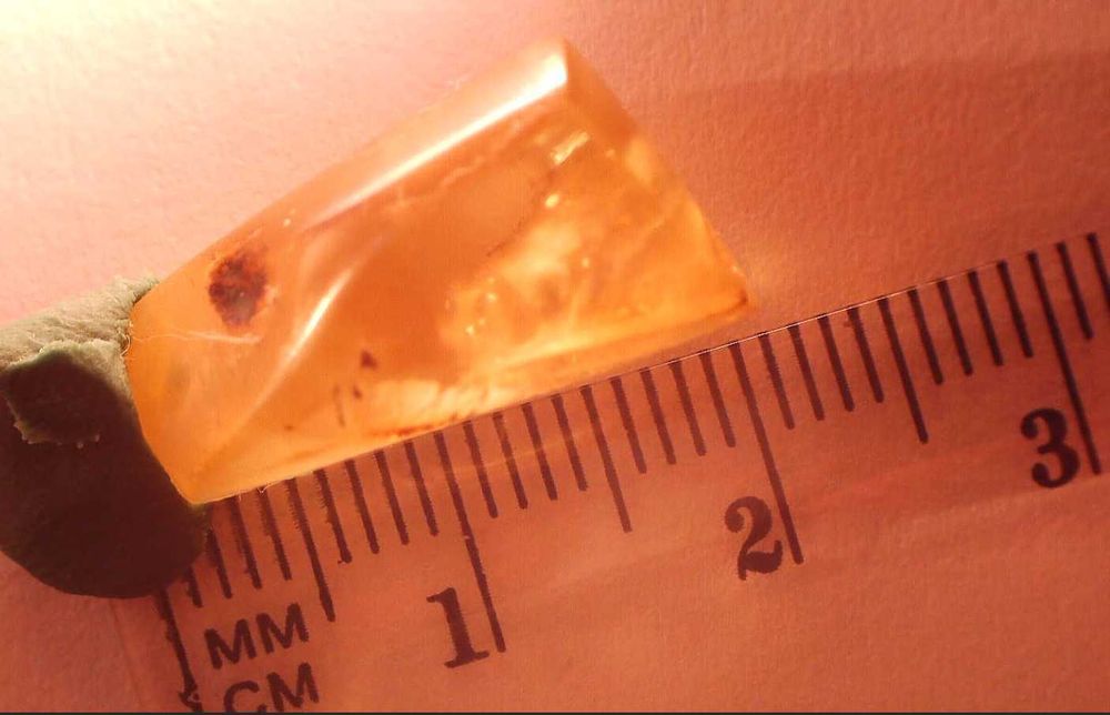 Bursztyn inkluzja pleśń lub coś zbliżonego  oj ciekawa.