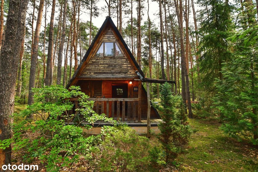 Dwie leśne działki z klimatem, zabudowa letniskowa i całoroczna