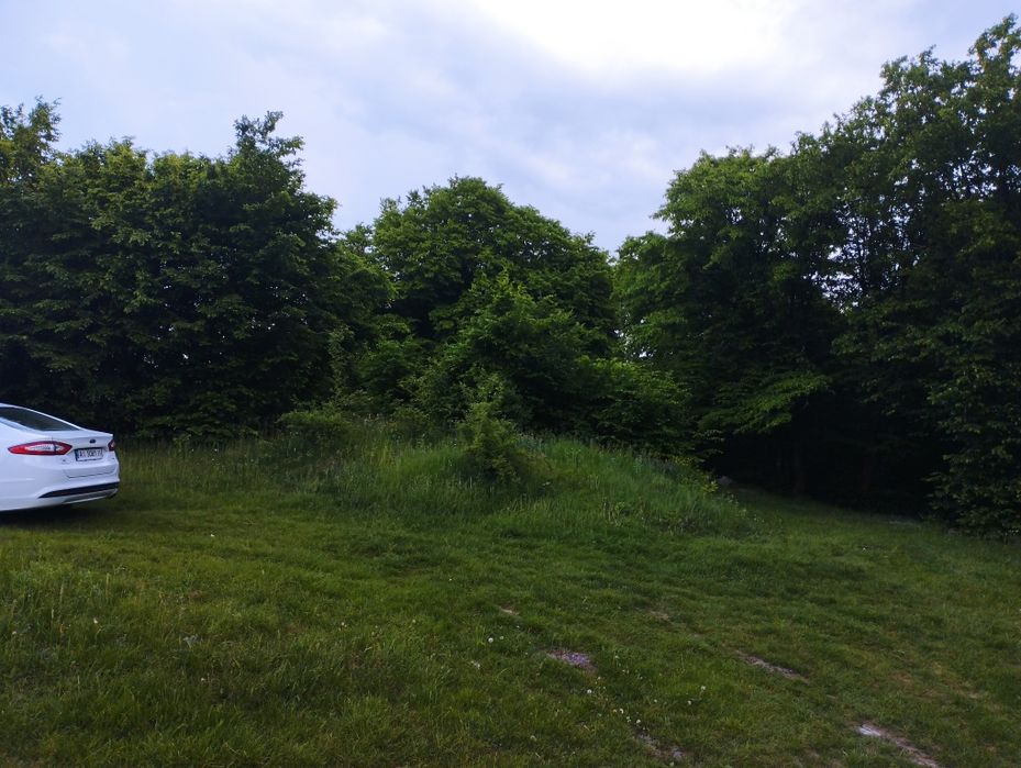 Продаю земельну ділянку в селі Шкарівка біля лісу