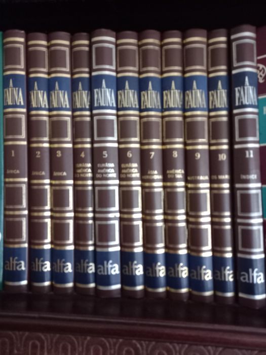 Várias coleções de livros.