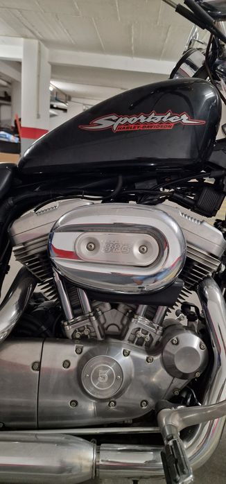 Harley davidson 883