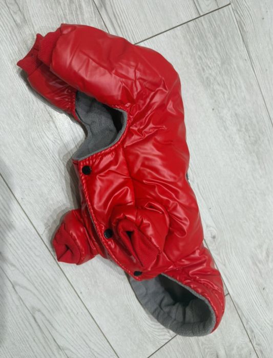 Nowy Kombinezon czerwony S / L dla psa do 3 kg