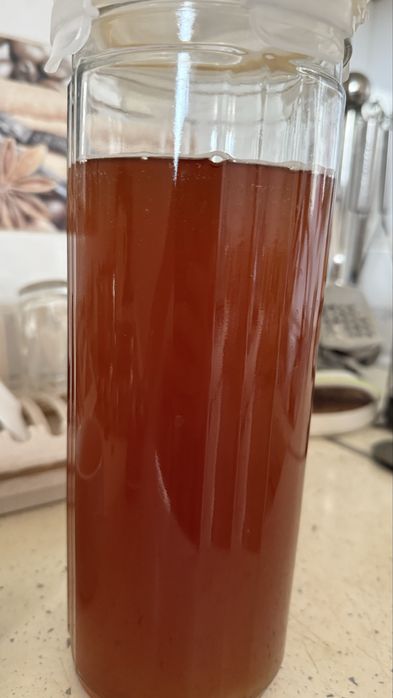 Чайный гриб, камбуча