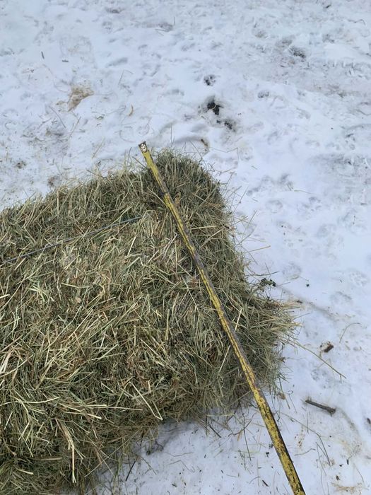 Сіно лугове/ тюк  / трава/ отава/різнотрав‘я