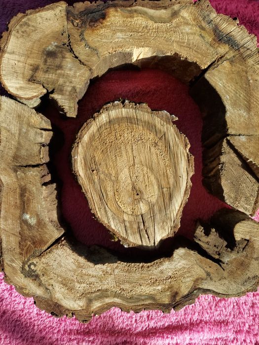 Слеб, спил горіха, декор