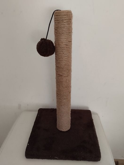 Conjunto para Gatos Wuau novo