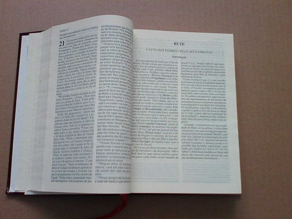 Biblia Sagrada - Paulus