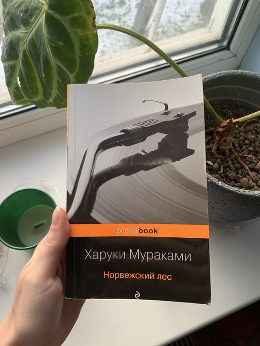 Книга Харуки Мураками «Норвежский лес»