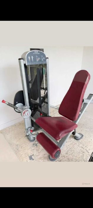 Leg Extension Panatta