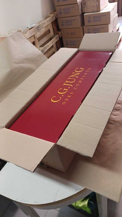 Jung Obra completa: caixa com 35 livros