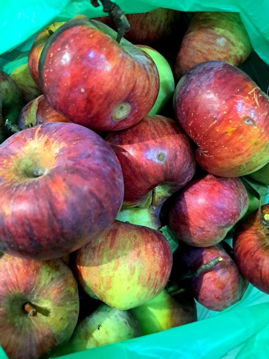 Jabłka z własnego sadu