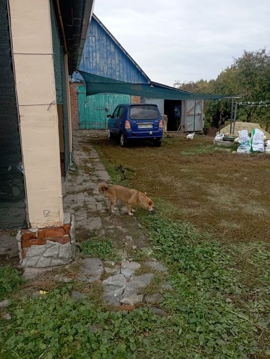 VIN LGXC14AC460106330 фото оголошення 8 з 11
