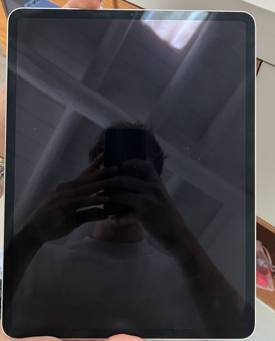 iPad Pro 12.9 2020 256GB