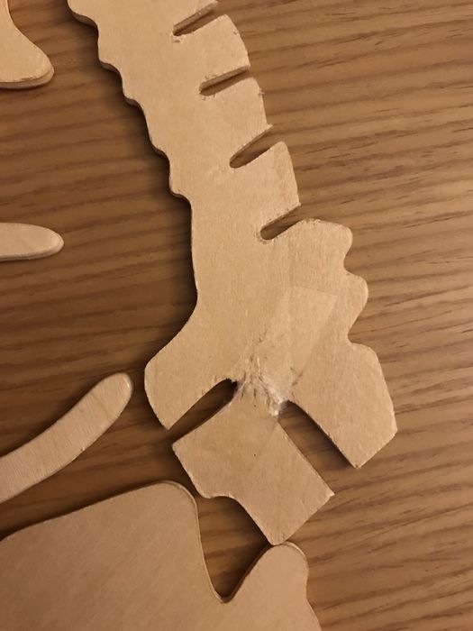 Puzzle 3D Triceratops, Science4you