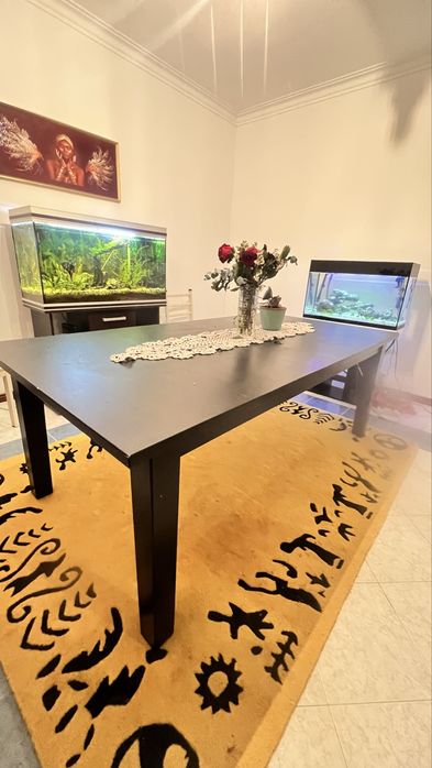 Mesa em madeira 6 cadeiras ate  extensível