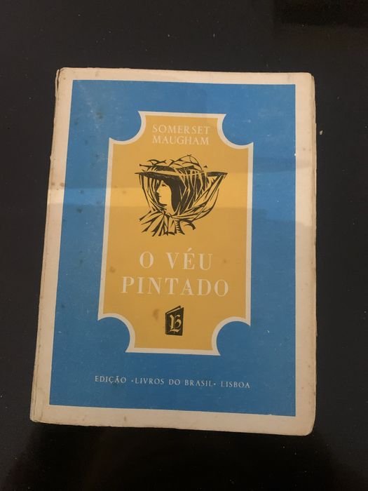 Livro - O véu pintado