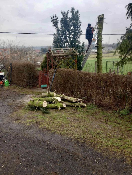 Profesjonalne usługi ogrodnicze