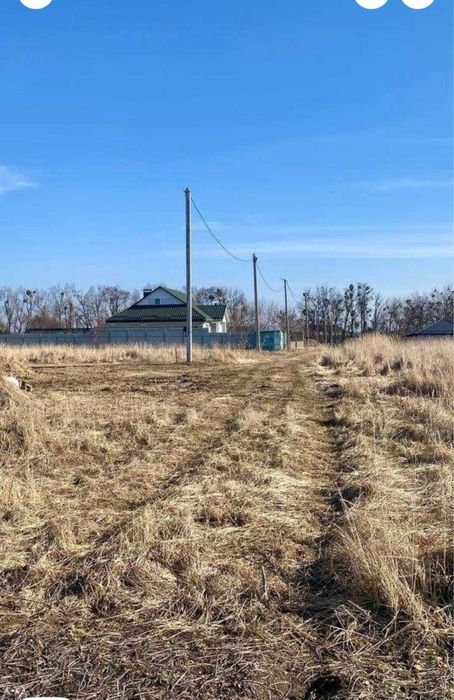 Лісові Гринівці земельна ділянка