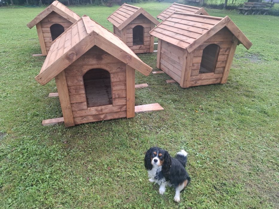 Buda dla psa ocieplana