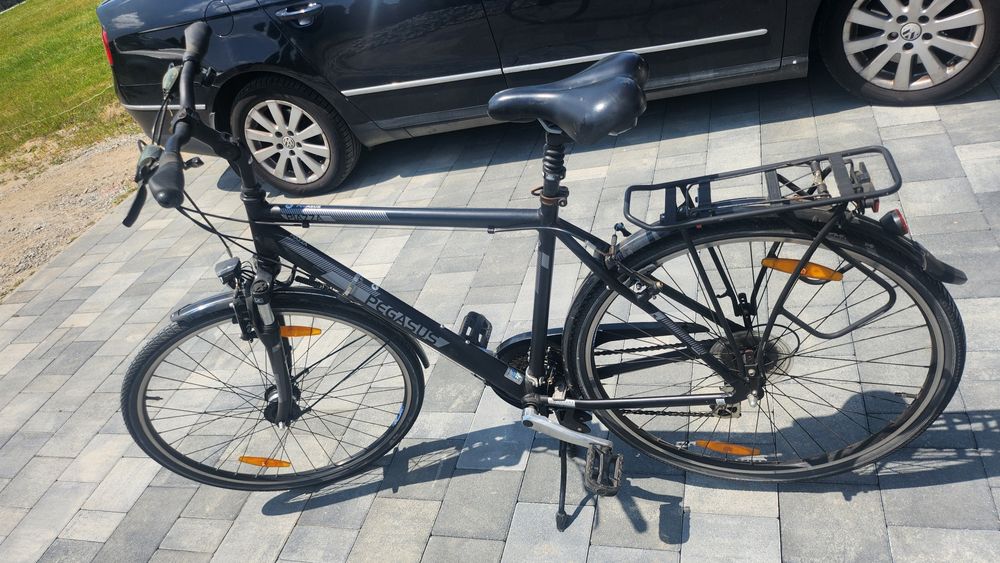 Rowery Pegasus zwykłe