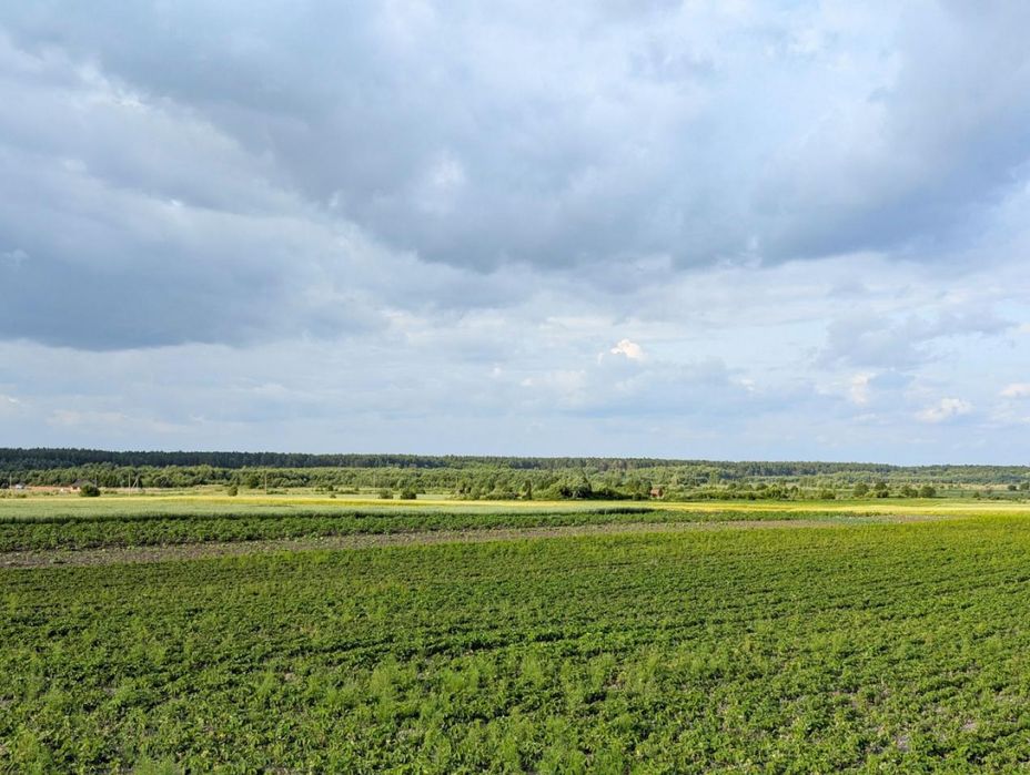 Ділянка Нова Українка під будівництво