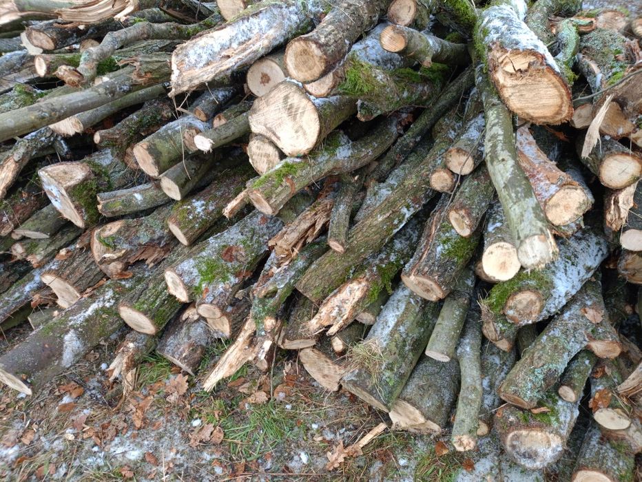 Opał dąb grab gałęziówka