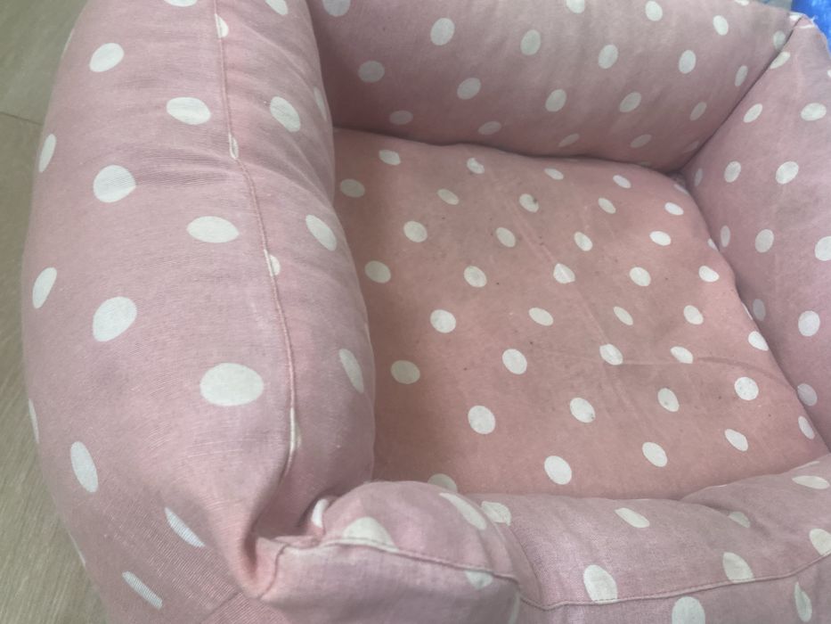 Cama cão porte pequeno