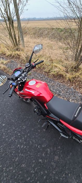 Продаю Mustang region (fortuna) 200