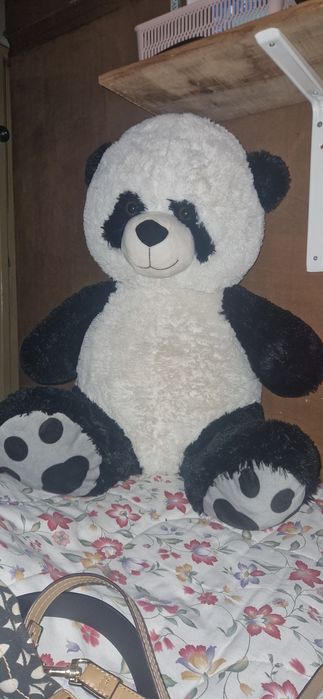 Vendo panda Muito fofo