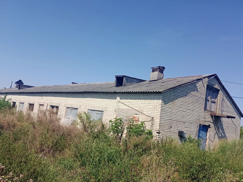 Продам свиноферми