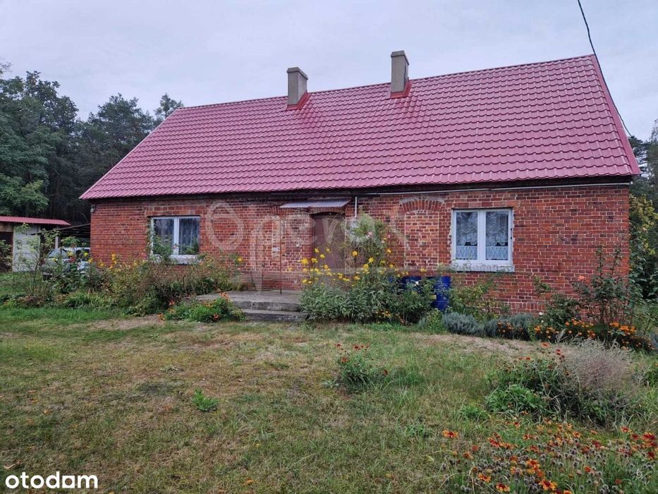 Dom – Kotowskie, powiat ostrzeszowski - Widok 2