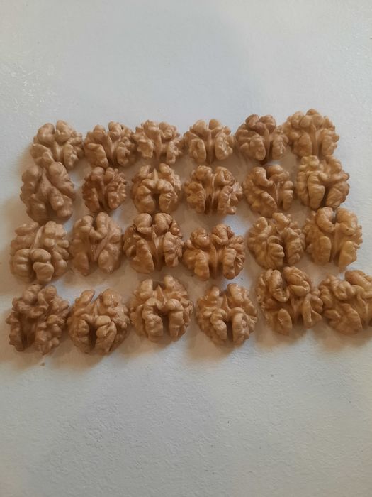 Грецький горіх волоський сухий світлий бабочки четвертинки грецкий оре