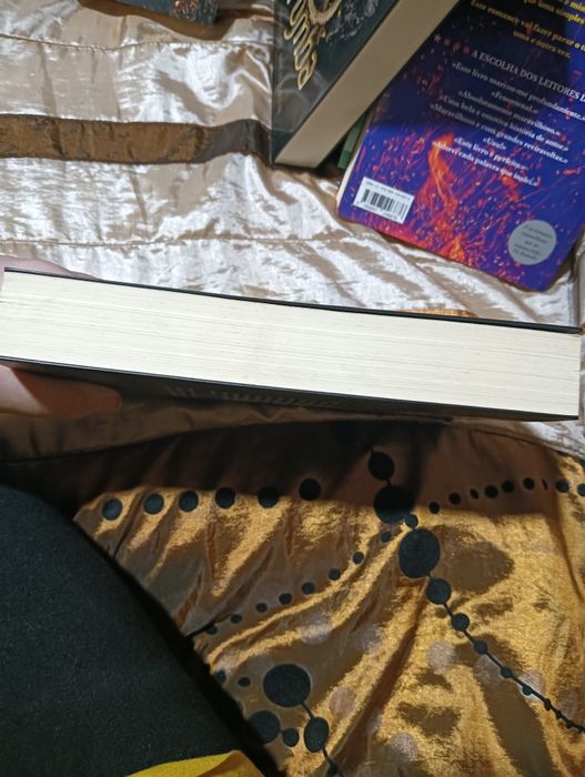 Livro- the shining