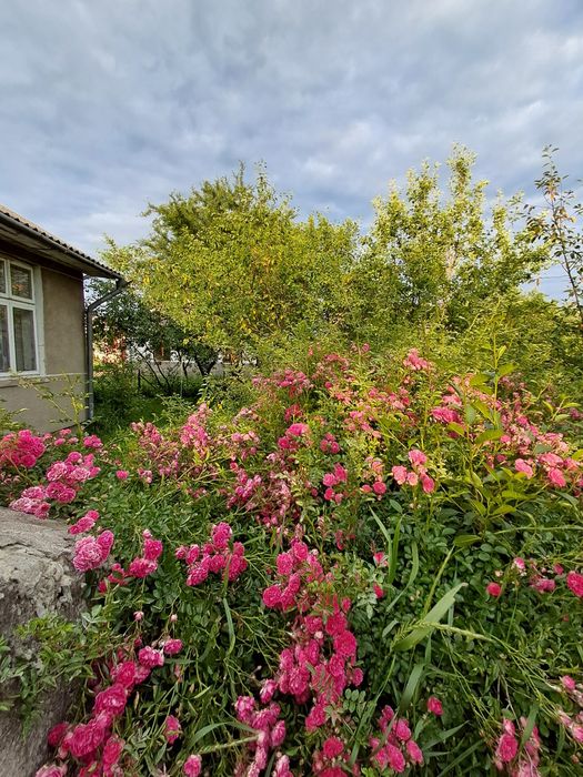 Продаж будинку с.Пісок