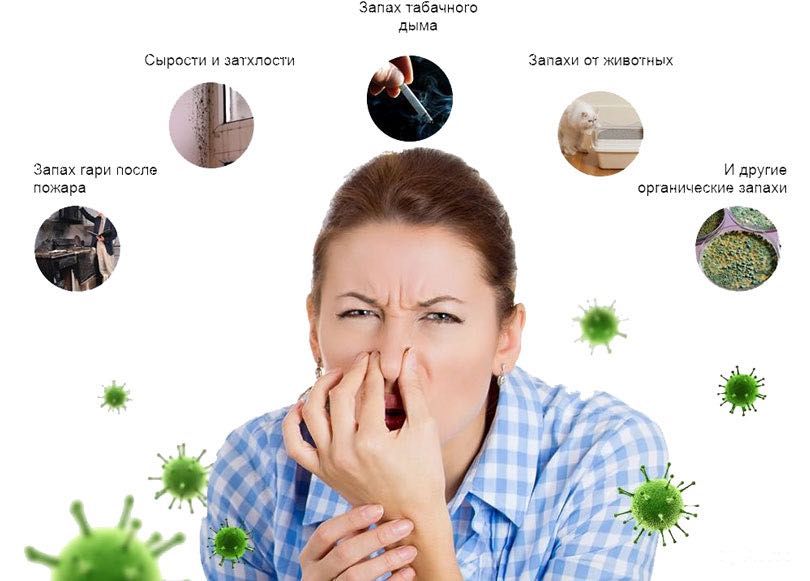 Знищення тарганів клопів бліх кліщів.ос шершнів Гарантія 2 роки