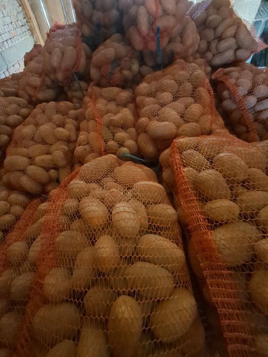 Sprzedam ziemniaki jadalne