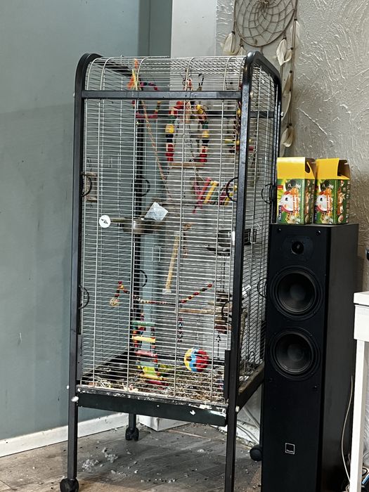 Klatka woliera z zabawkami